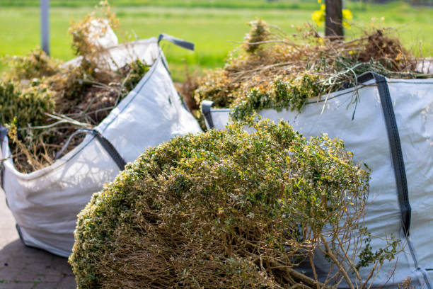 Best Shed Removal  in Gardena, CA